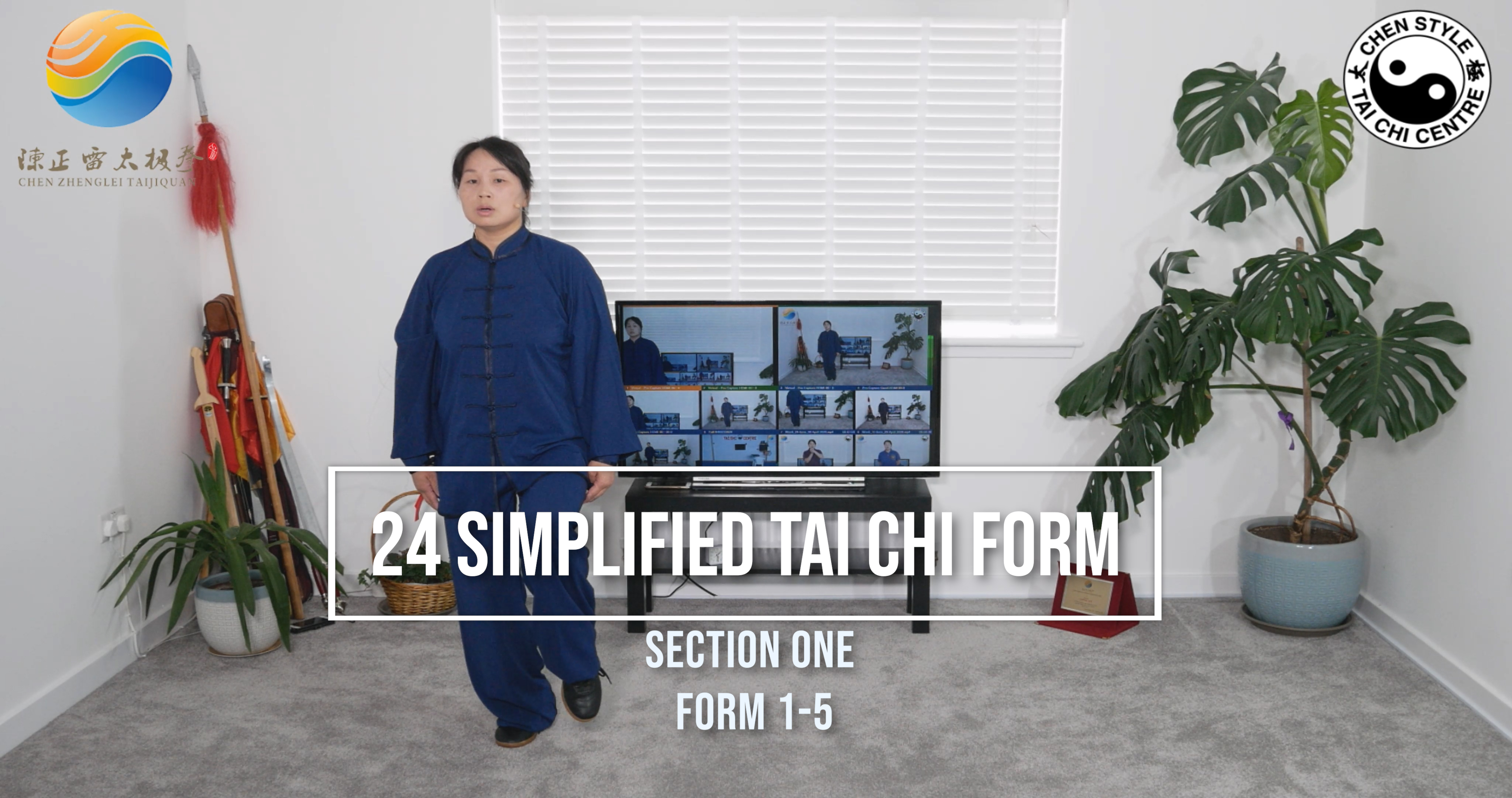 <br />
Section one teaching in details;Live lesson on 9th April 2020;Intensive Qigong exercise;Basic Form;